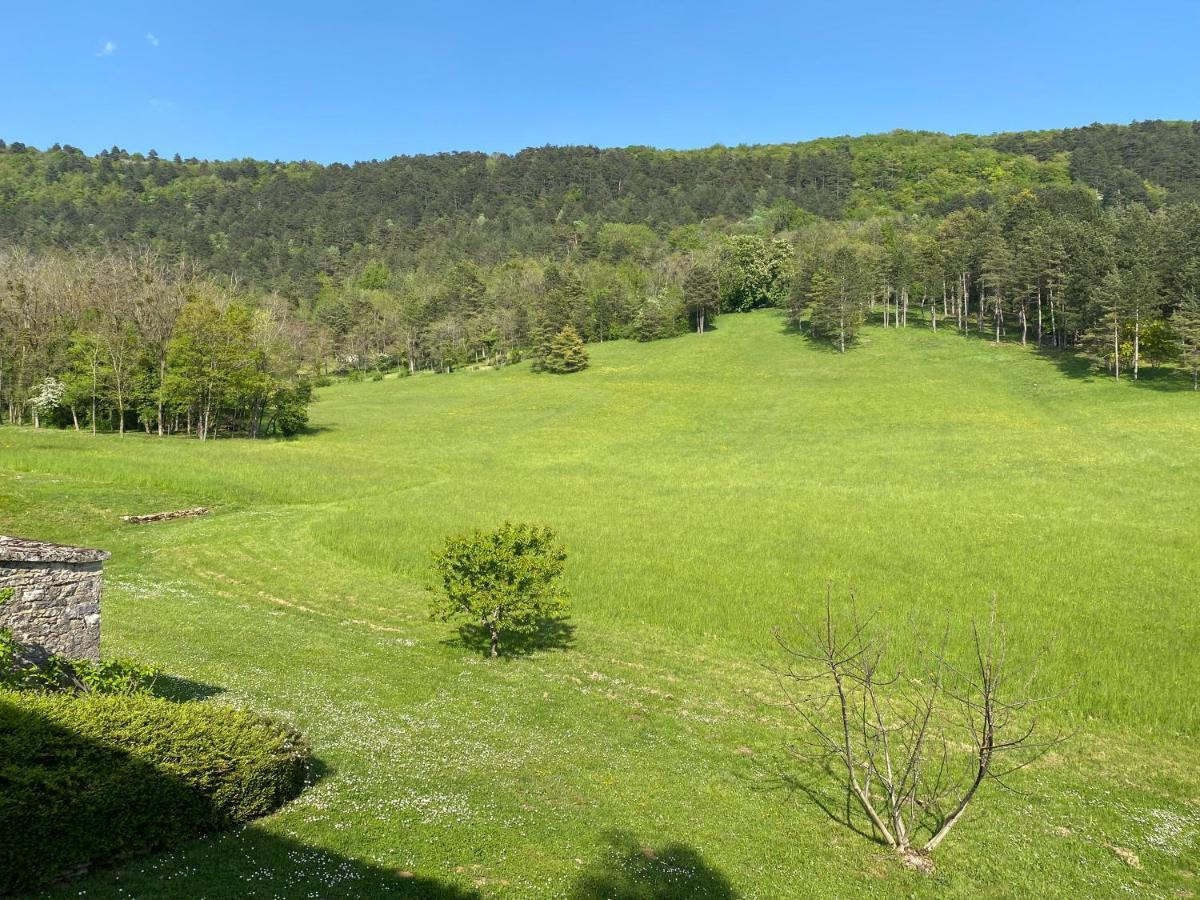Clos De Mont July, Architecture Xviiie Au Coeur De La Nature Ceyzeriat Zewnętrze zdjęcie