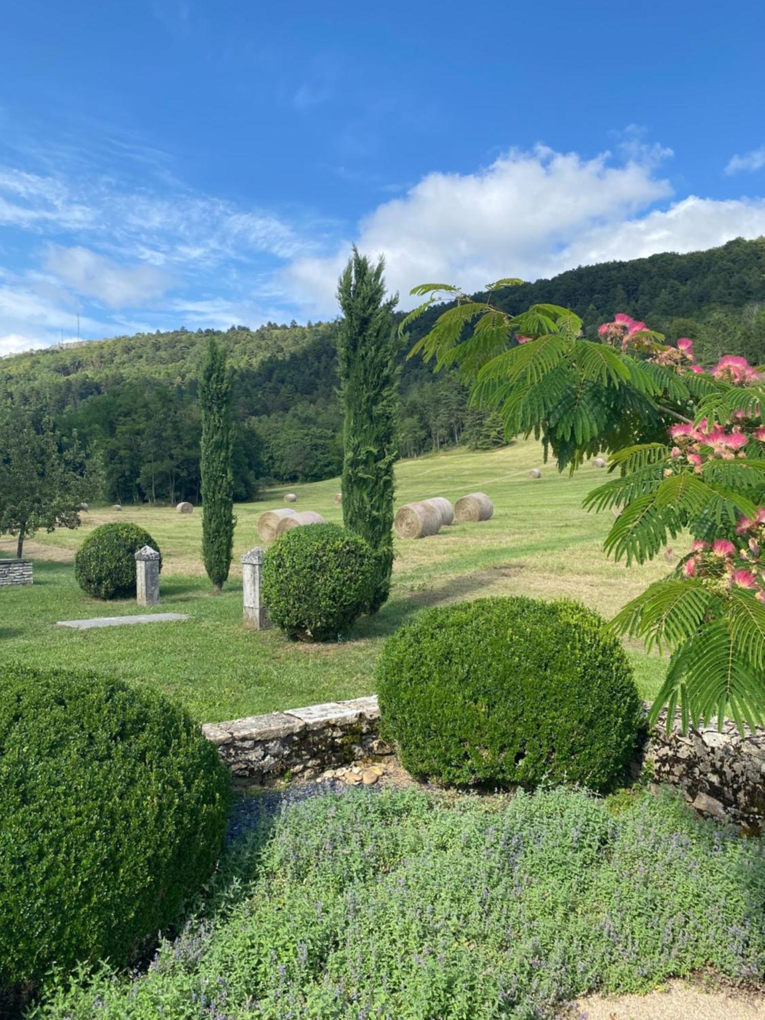 Clos De Mont July, Architecture Xviiie Au Coeur De La Nature Ceyzeriat Zewnętrze zdjęcie